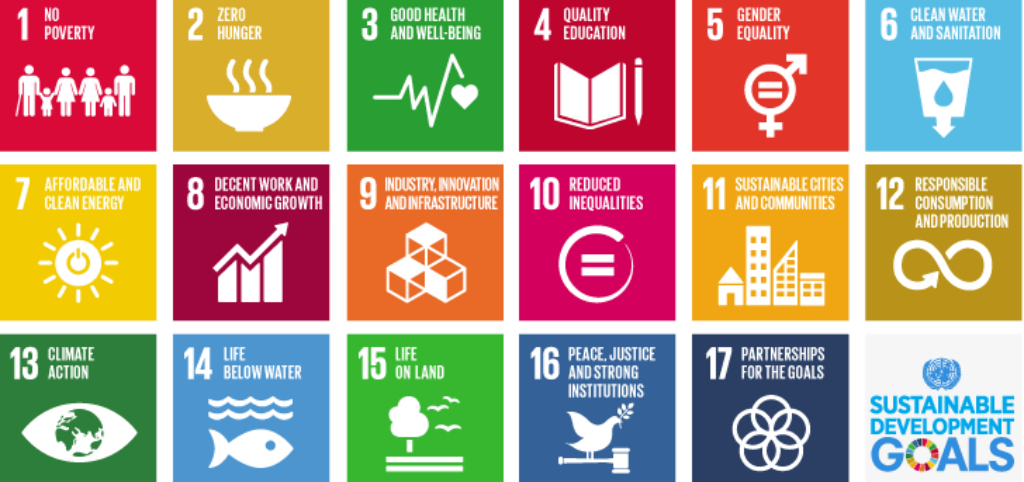 Image result for SDGs