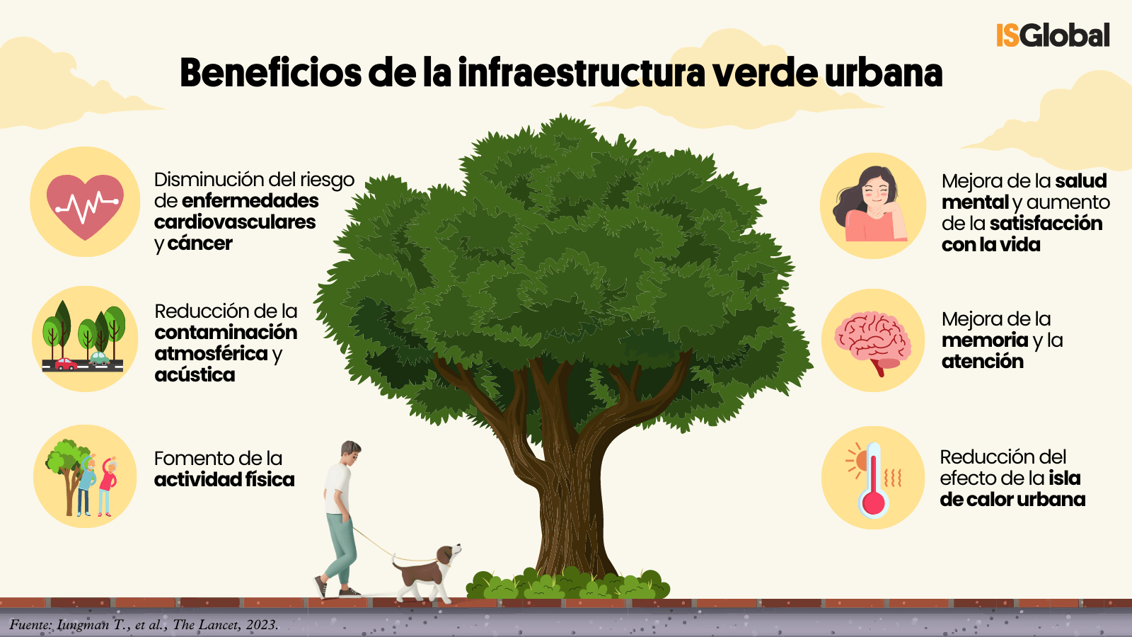 Un tercio de las muertes atribuibles al calor en las ciudades podrían evitarse con mas árboles Un tercio de las muertes atribuibles al calor en las ciudades podrían evitarse con mas árboles