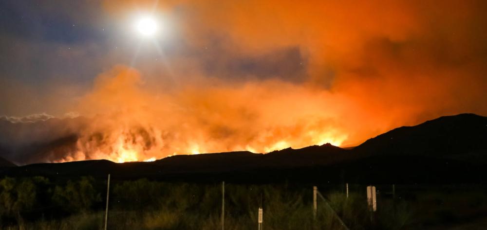 Incendio forestal en California. Foto de Ross Stone en Unsplash.