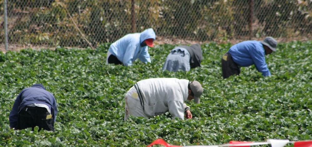 Malaria in migrant populations