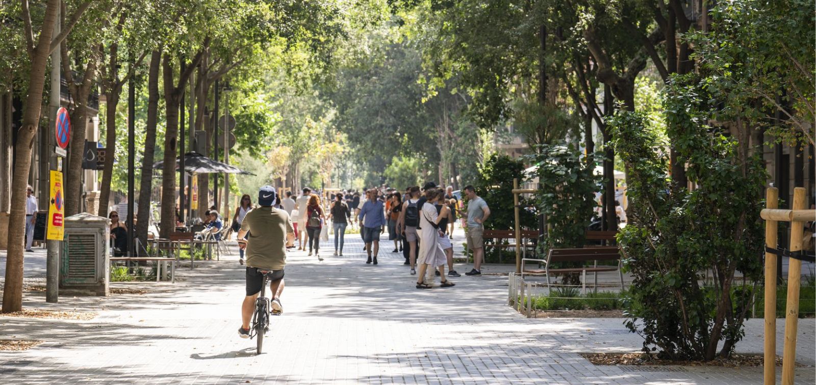 Consell de Cent superilla sentencia peatonalitzacio