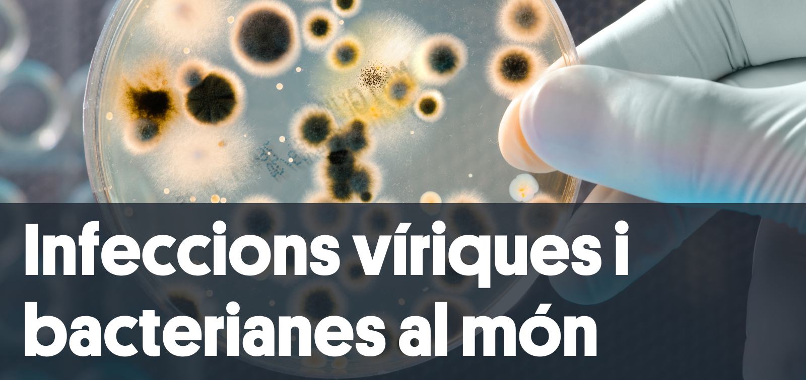 Imatge web dels programes de recerca d'ISGlobal