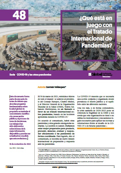 The International Pandemic Treaty: What is at Stake?