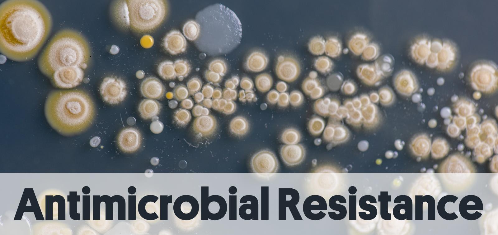ISGlobal Research Group on Antimicrobial Resistances