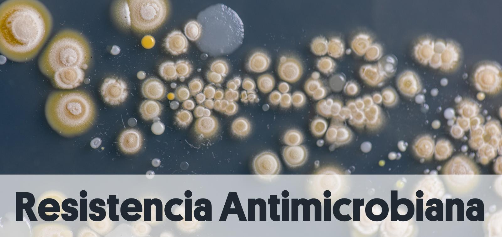 Grupo de investigación en Resistencias Antimicrobianas de ISGlobal