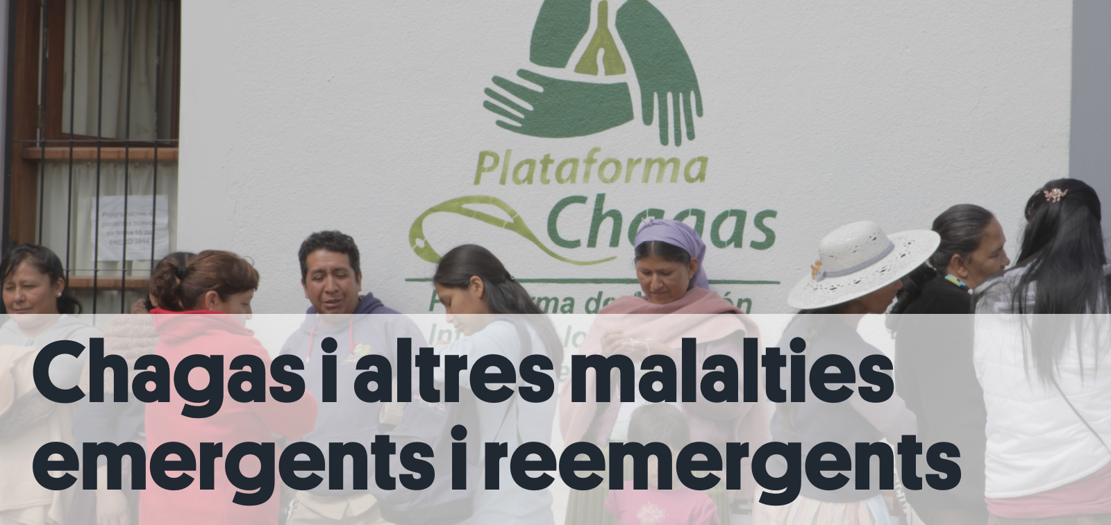 Malaltia de Chagas i altres malalties emergents i reemergents