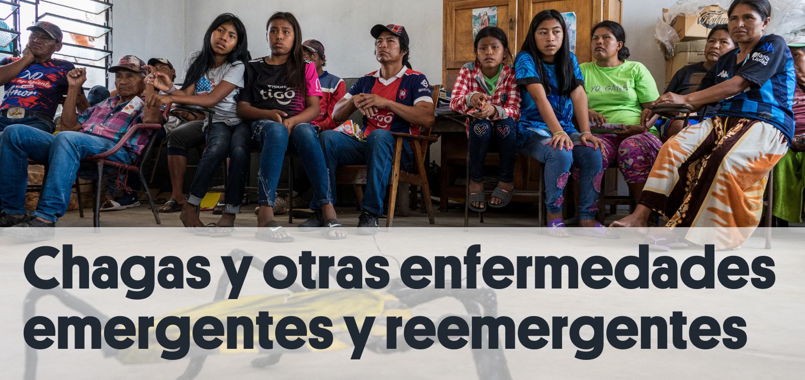 Enfermedad de Chagas y otras enfermedades emergentes y reemergentes