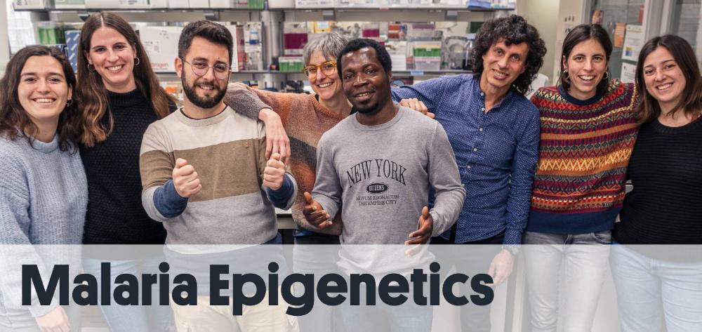 Malaria Epigenetics Research Group of ISGlobal