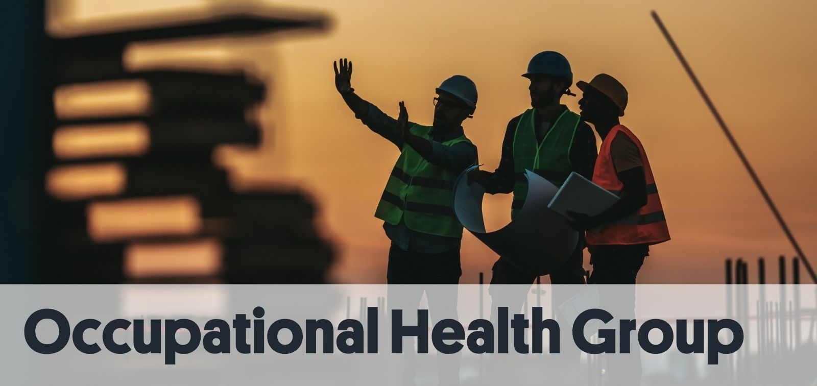 Occupational Health EN