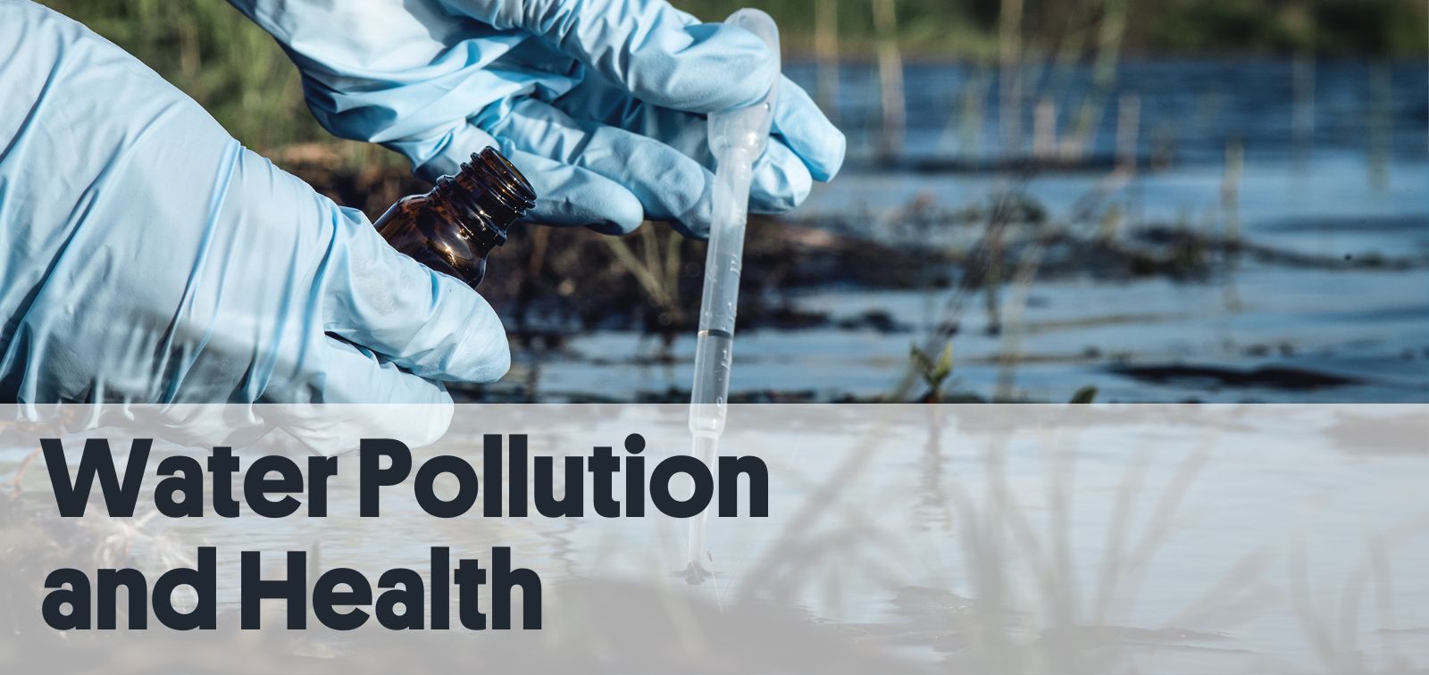 Water Pollution and Health Research Group at ISGlobal