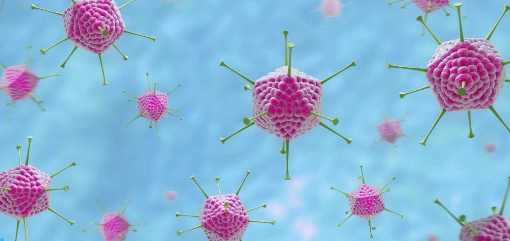 Modelo molecular adenovirus