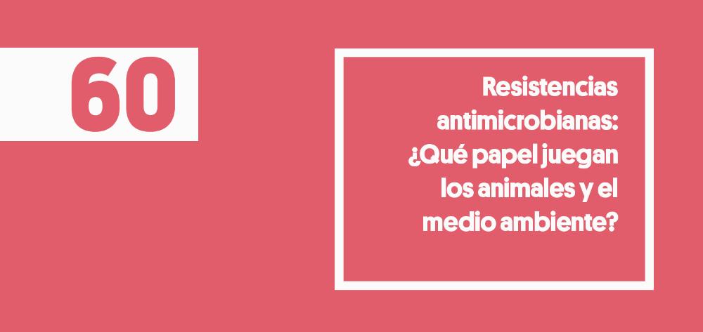 Resistencias antimicrobianas: ¿Qué papel juegan los animales y el medio ambiente?