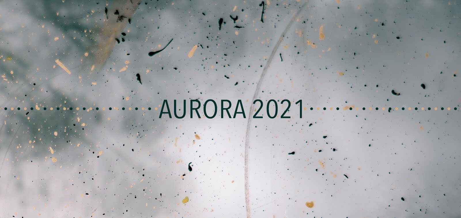 AURORA 2021 project