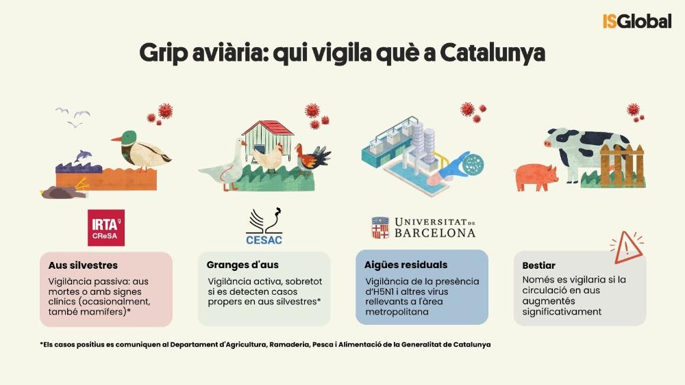 Grip aviària: qui vigila què a Catalunya?