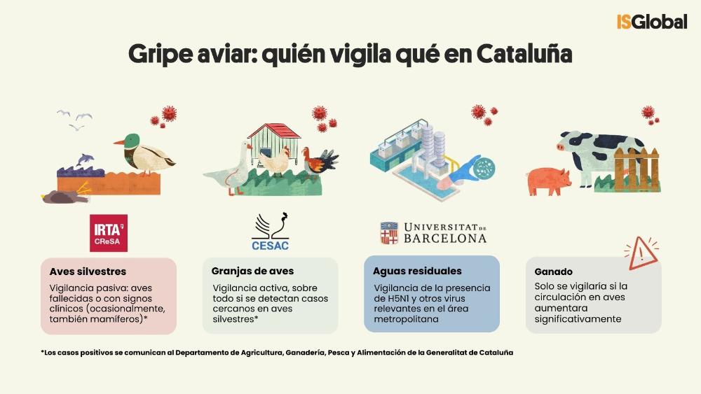 Grip aviària: qui vigila què a Catalunya?