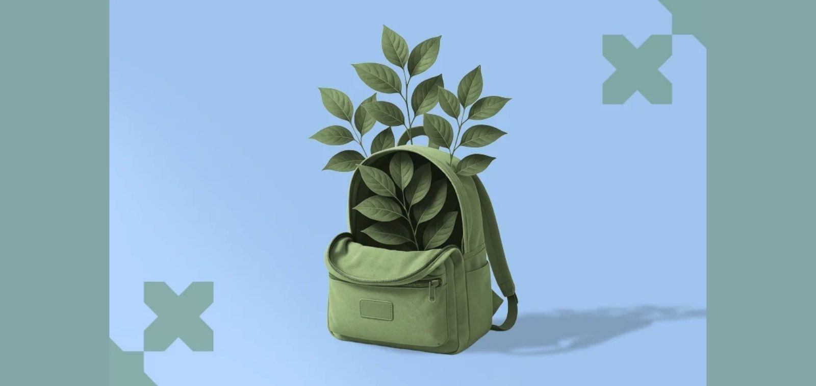 ¿Cómo hacen frente las escuelas al cambio climático?