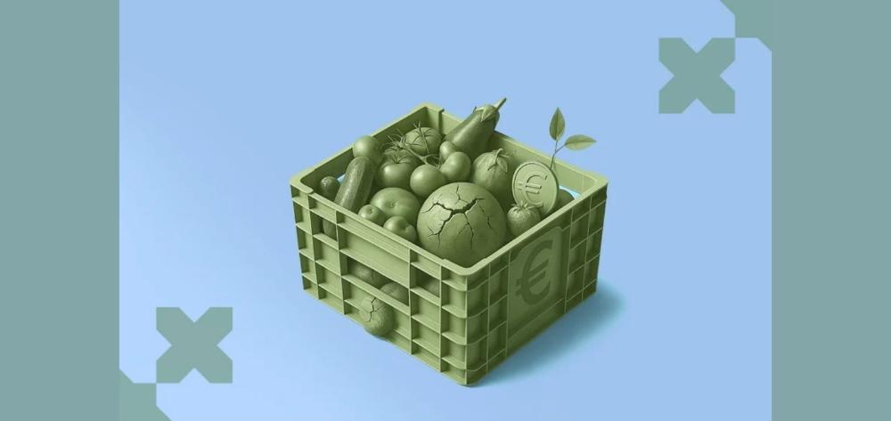 El verdadero coste de las frutas y verduras europeas: los jornaleros frente al calor extremo