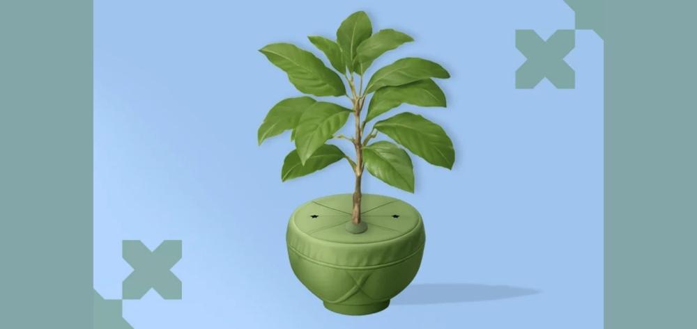 Saberes del pueblo mapuche para la justicia climática