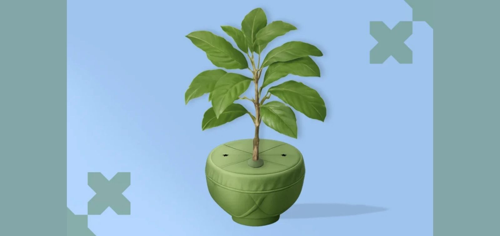 Saberes del pueblo mapuche para la justicia climática