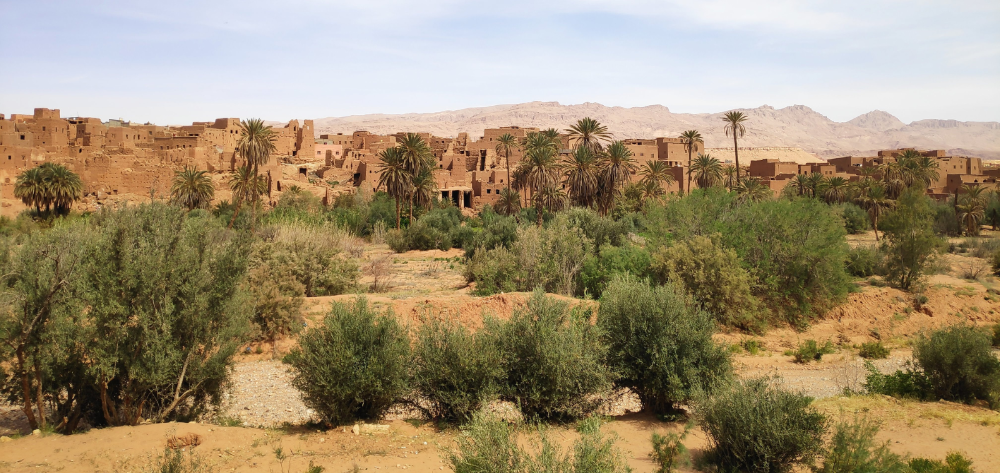 Biotopo de transmisión de la leishmaniasis en Tinerhir (Marruecos)