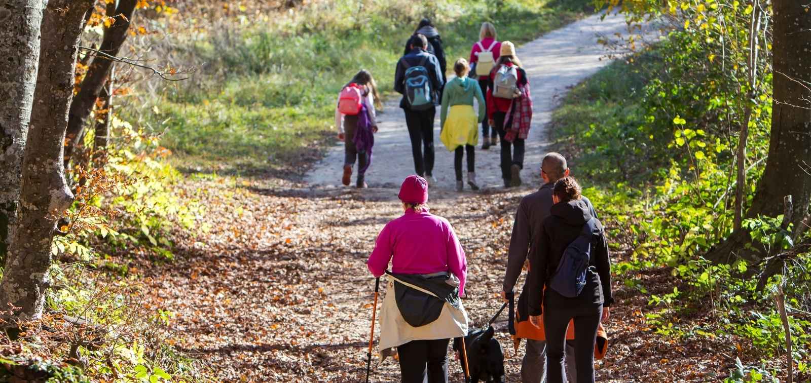 Grupo de personas caminando por un sendero del bosque.