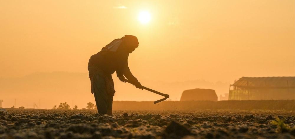 Silueta de una persona trabajando en agricultura, en un campo y bajo el sol