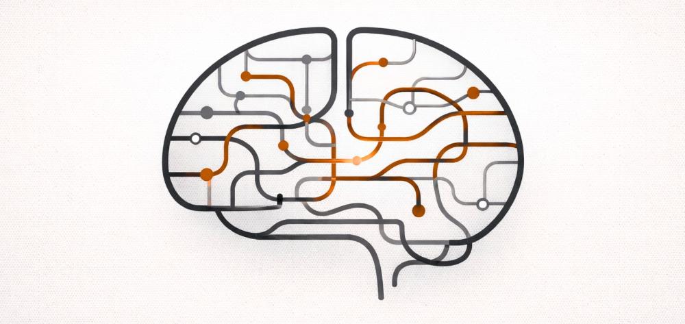 Representació simbòlica d'un cervell i les connexions neuronals en tons negres, grisos i ataronjats.