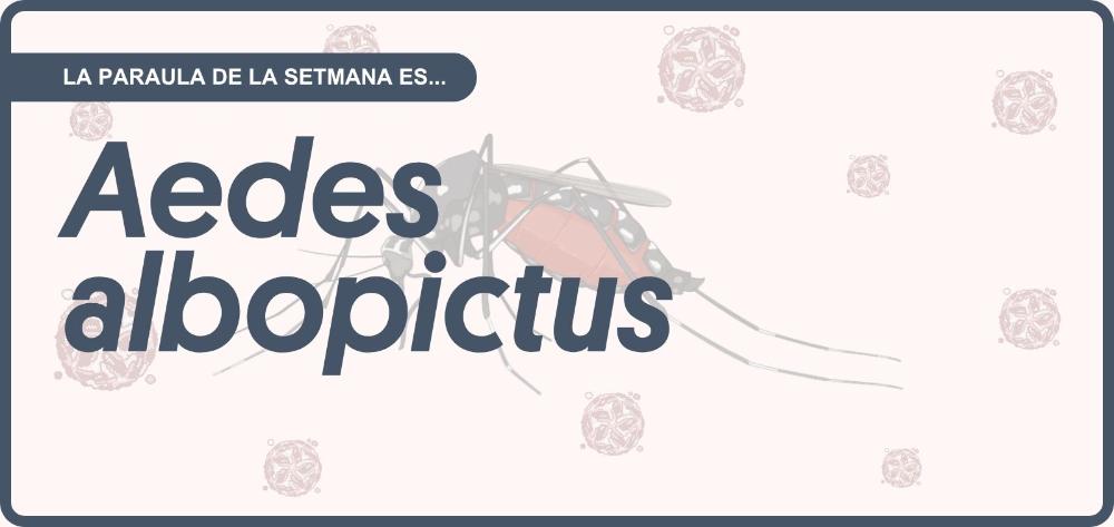 Portada amb el títol “La paraula de la setmana és… Aedes albopictus”, sobre la il·lustració d'un mosquit tigre i un fons amb motius de virus.