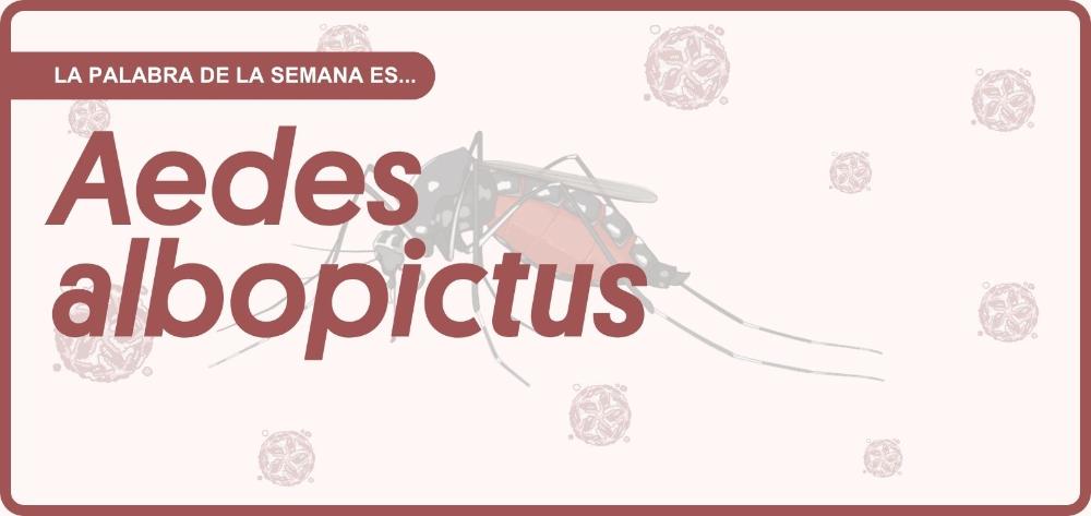 Portada con el título “La palabra de la semana es… Aedes albopictus”, sobre la ilustración de un mosquito tigre y un fondo con motivos de virus.