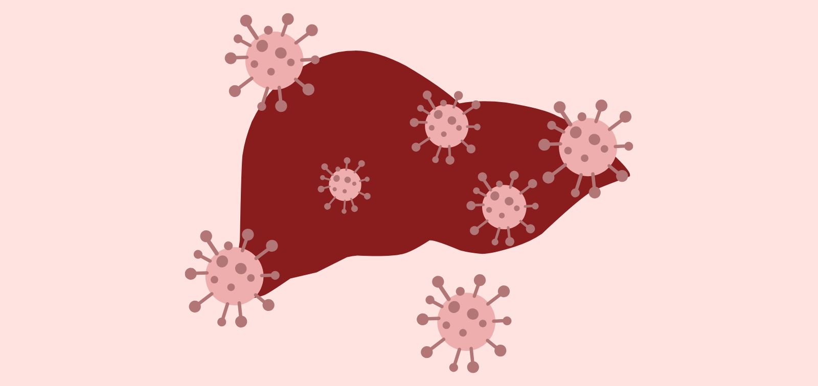 Il·lustració fetge amb virus al voltant (hepatitis)