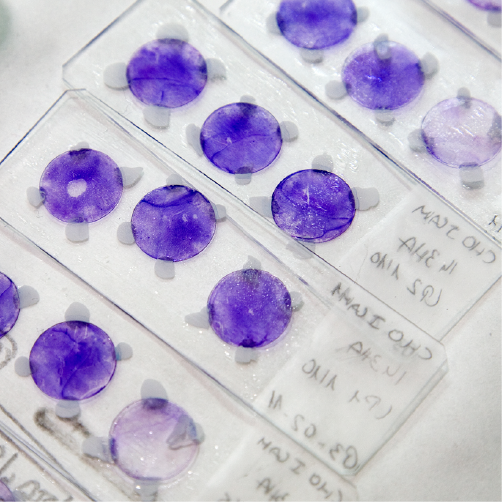 ISglobal_Malaria