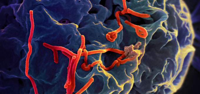 Las tres crisis del ébola