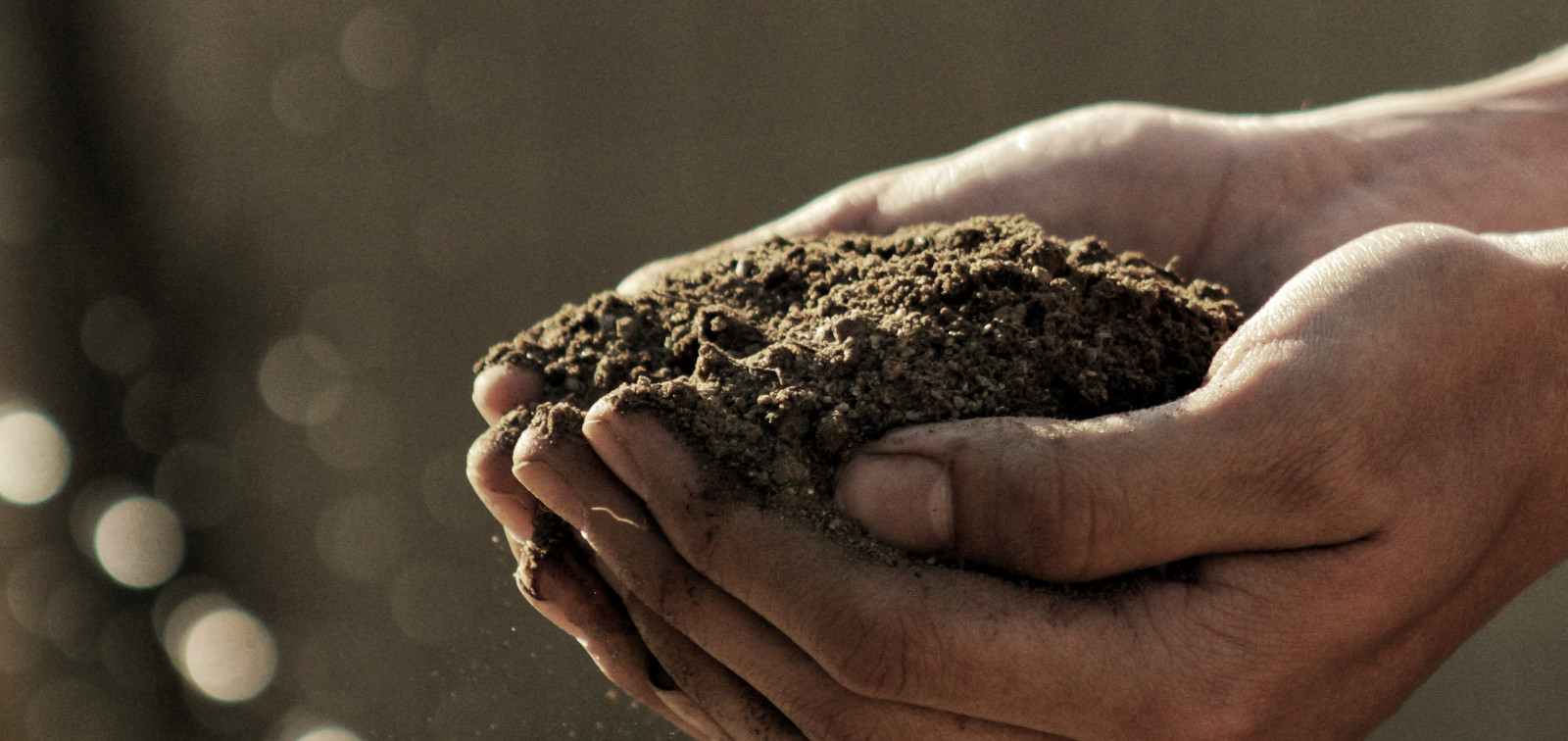 Hands with soil