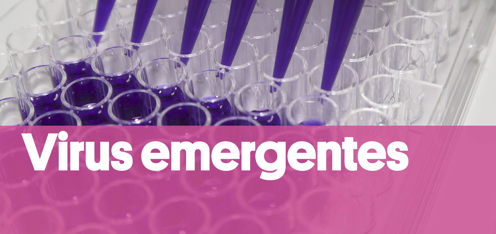 Programes_EmergingViruses_ES