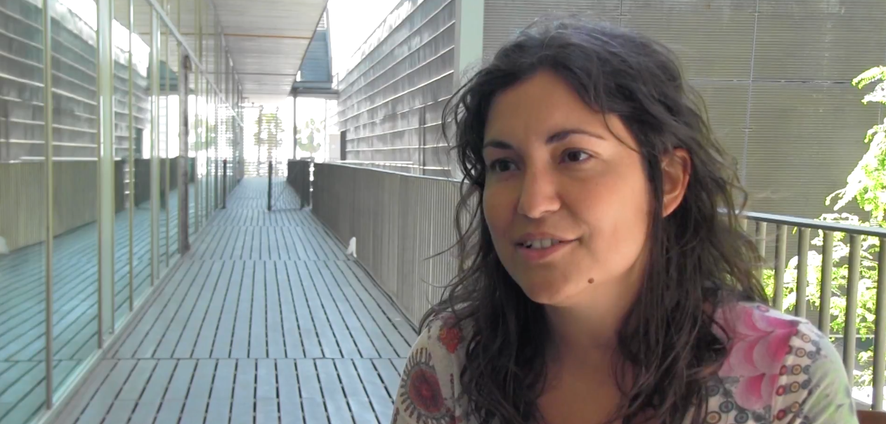 monica guxens video