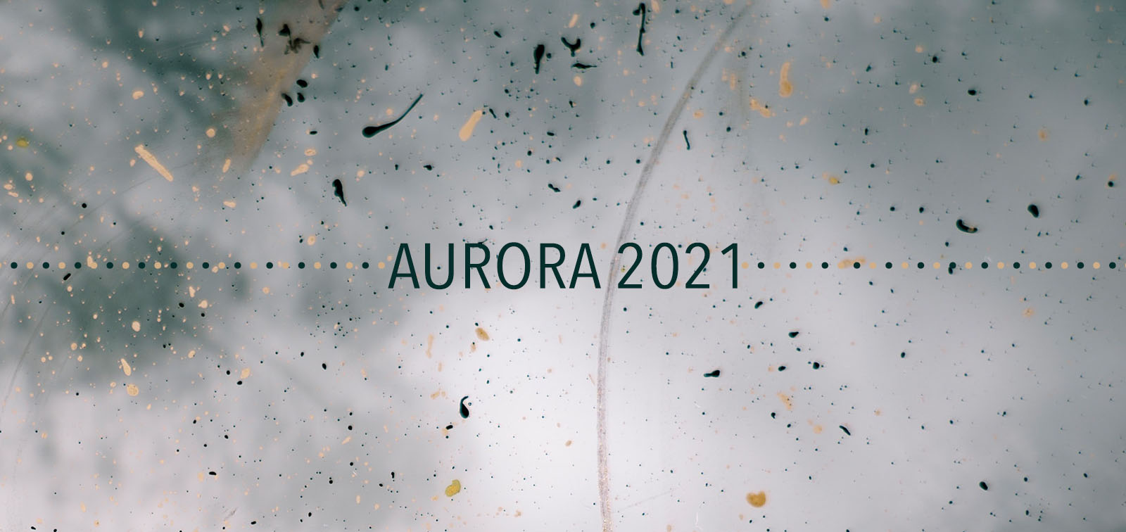 AURORA 2021 project