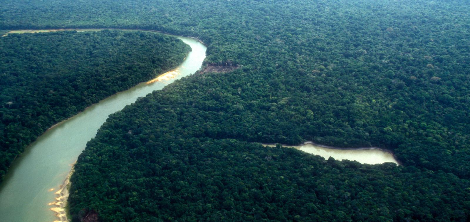 Aerial view of the Amazon forest