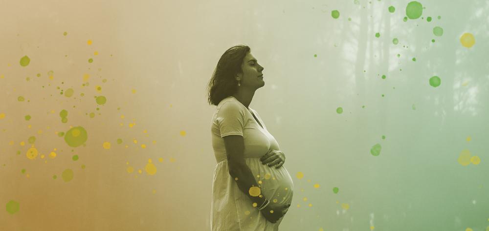 EMBRYORAD project