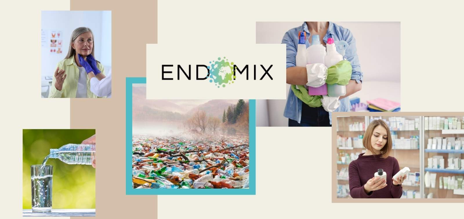 ENDOMIX: Understanding how endocrine disruptors and chemical mixtures of concern target the immune system to trigger or perpetuate disease