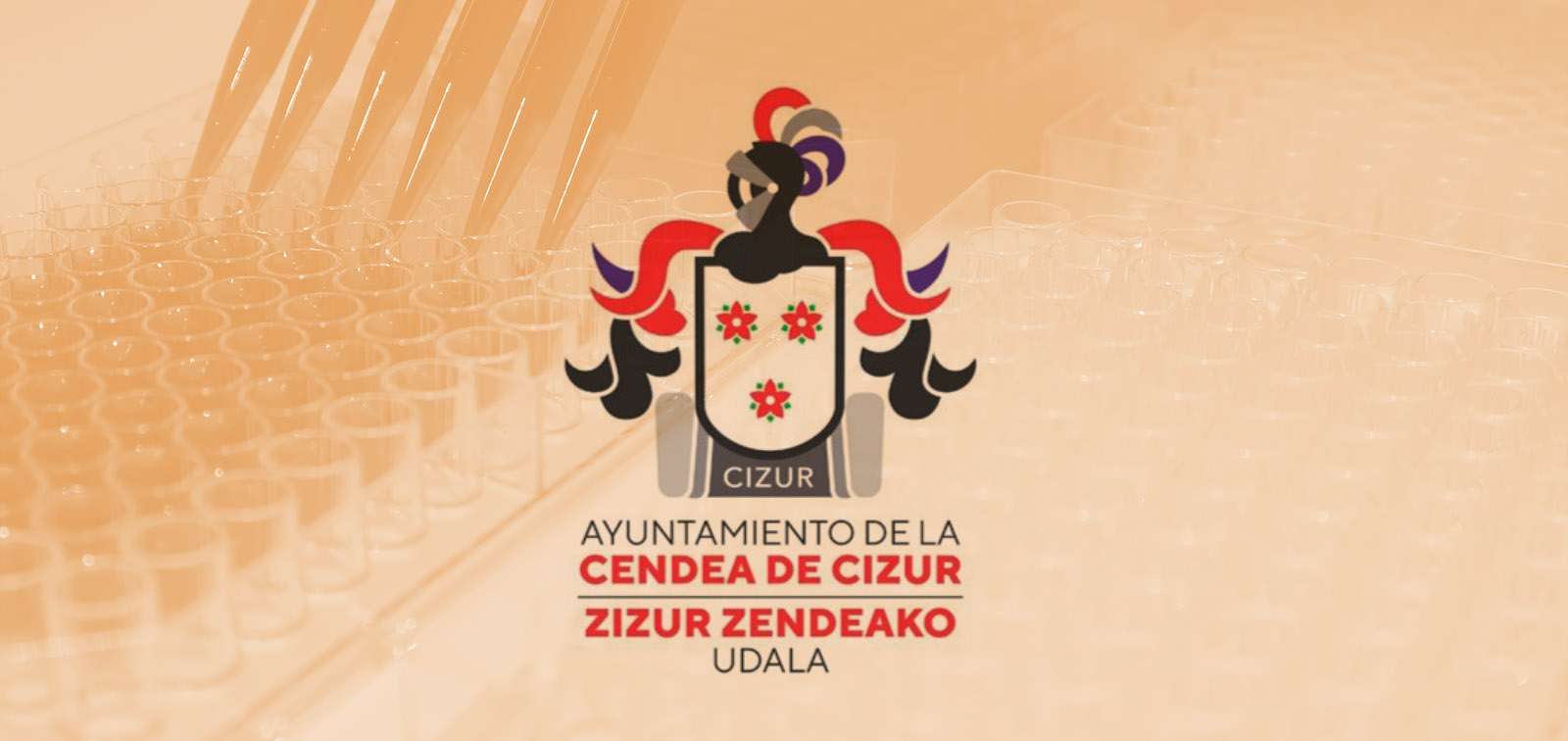 Encuesta serológica Cendea de Cizur