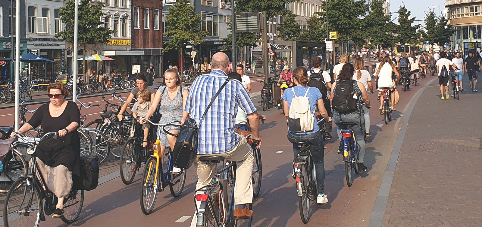Cycling in Utrecht