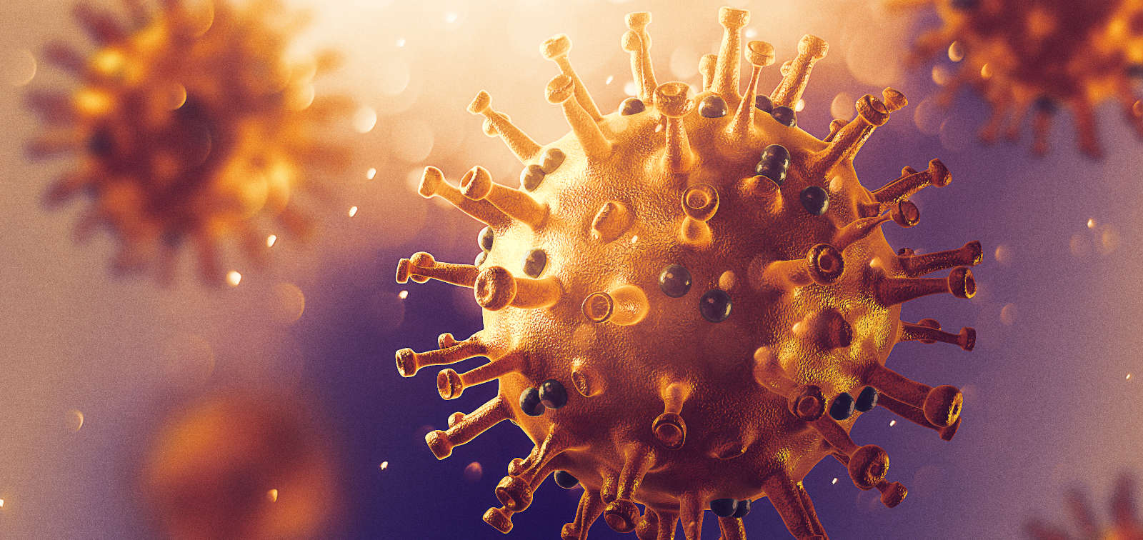 Coronavirus 3D image