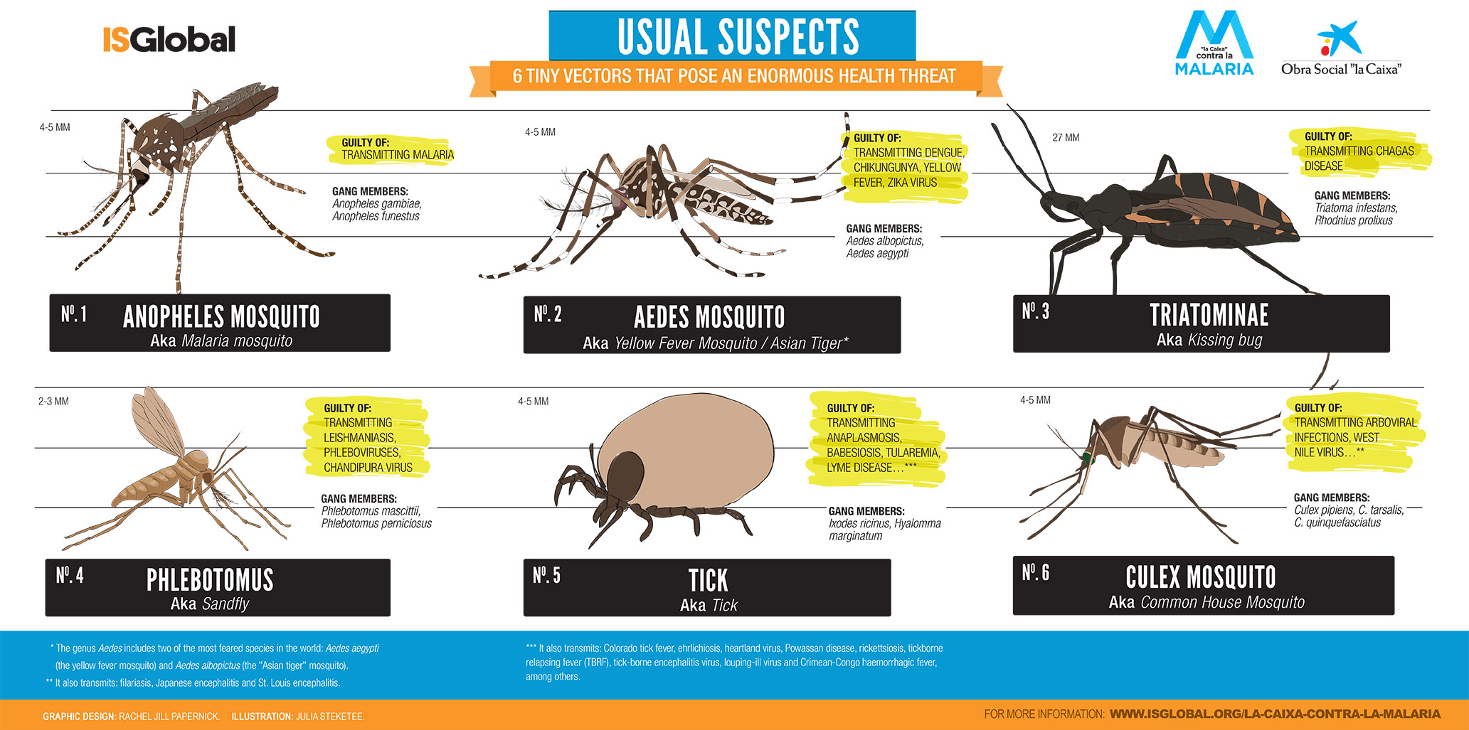 Usual Suspects Infografic Series: Summary
