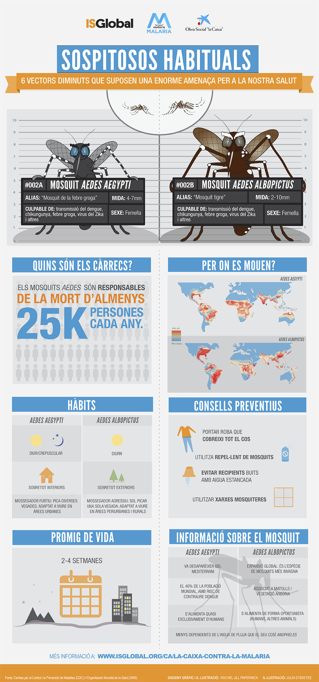 Infografia Sospitosos habituals 002: mosquit Aedes