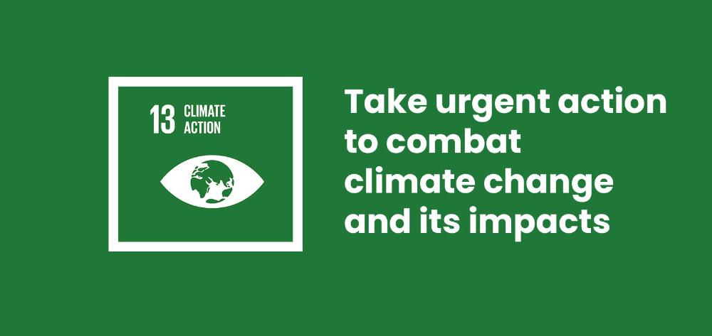 Goal 13: Take urgent action to combat climate change and its impacts ...