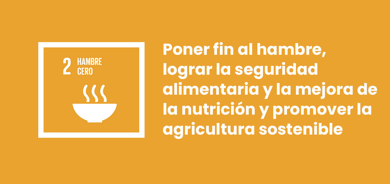 Pico Resistente Laboratorio Objetivo 2: Poner fin al hambre, lograr la seguridad alimentaria y la  mejora de la nutrición y promover la agricultura sostenible - Proyecto -  ISGLOBAL