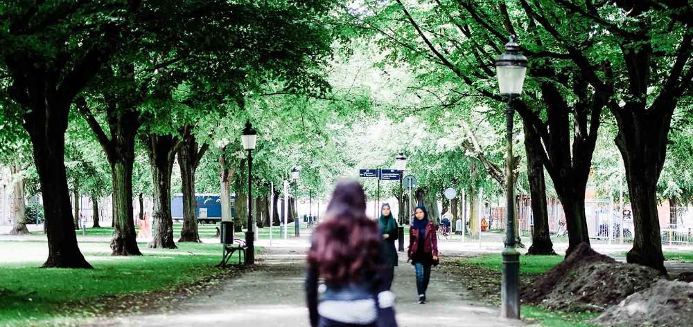 Personas caminando en parque