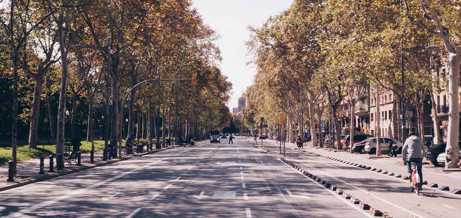 Carril bici en Barcelona