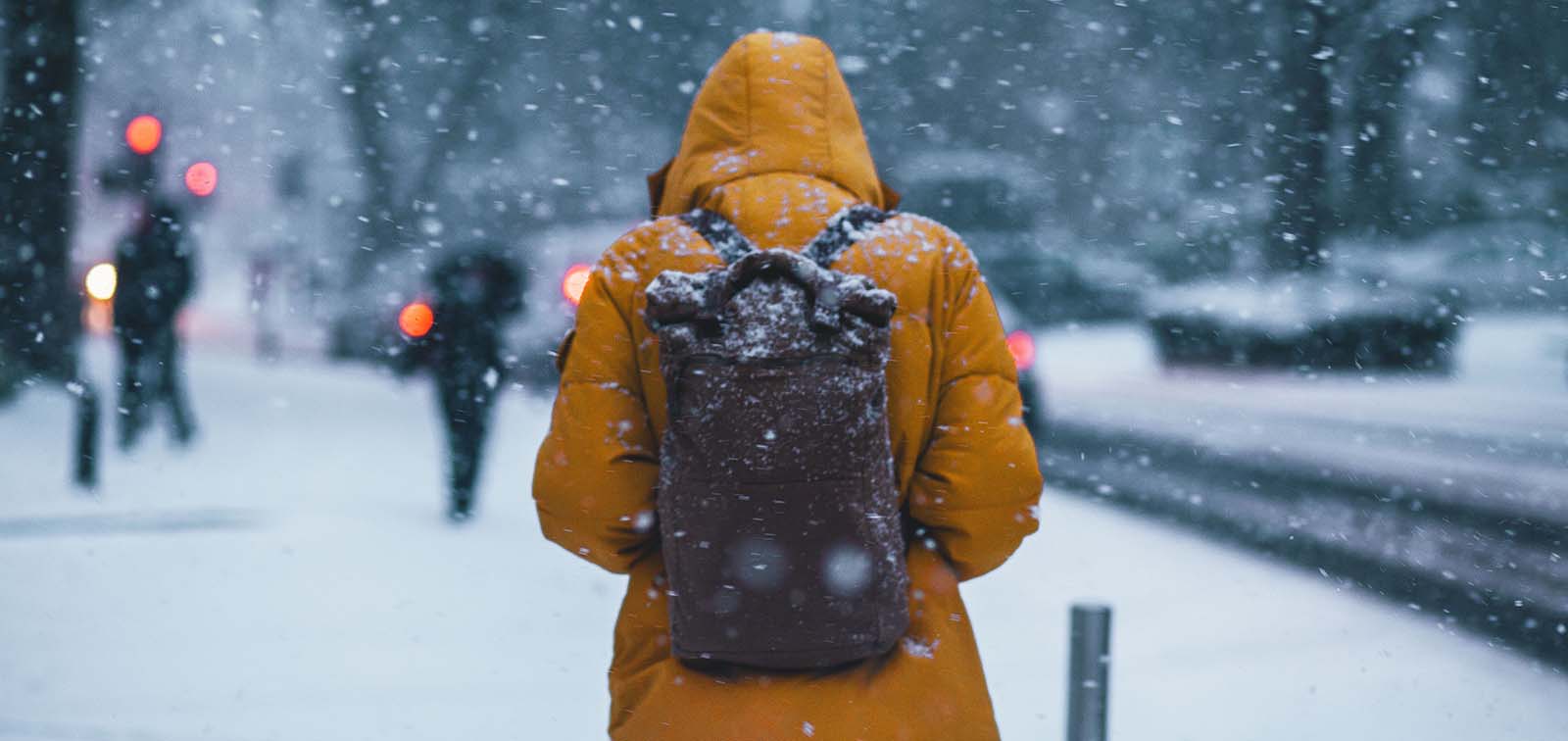 Equipamiento Frio Extremo