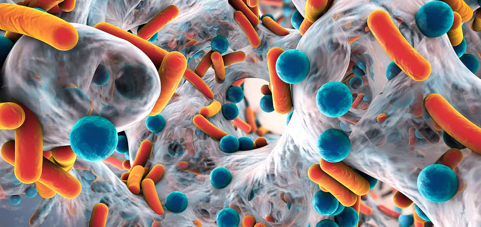 bdebate antibiotic